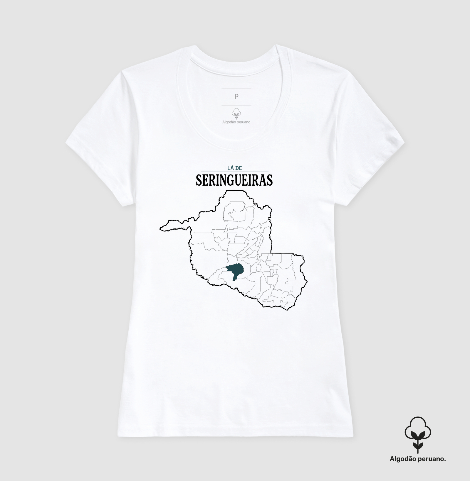 Seringueiras | Território RO - Imagem 9