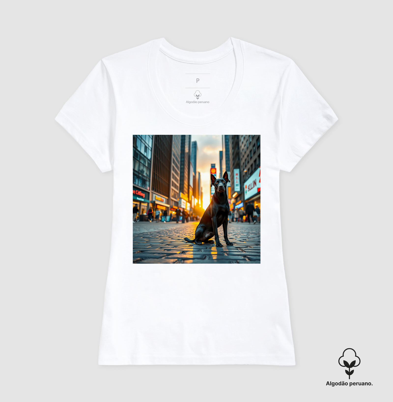 Camisa 2