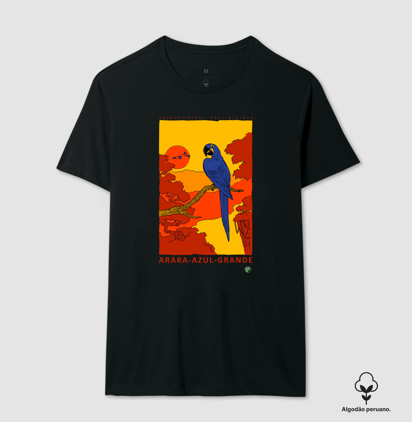 Arara-azul - Imagem 4