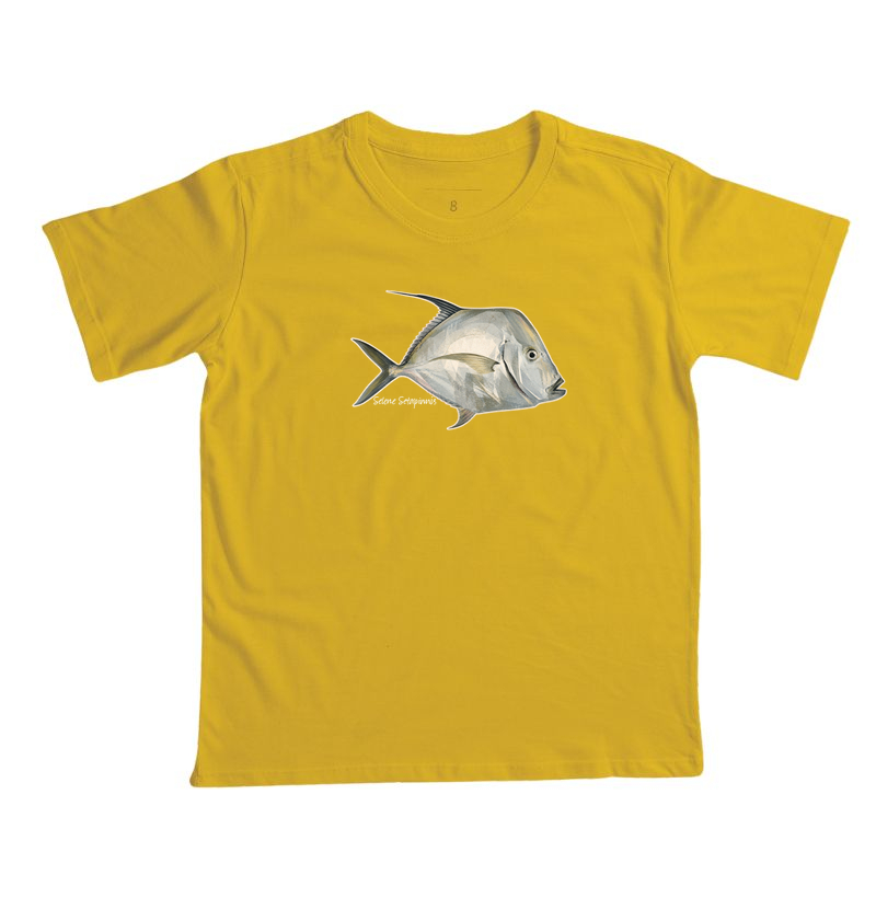 Peixe-Galo - Imagem 2
