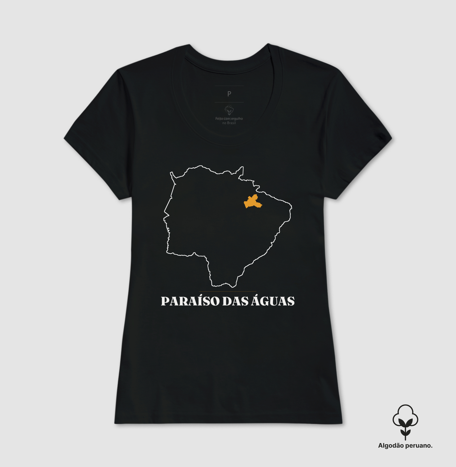 Paraíso das Águas | Traço MS - Imagem 3