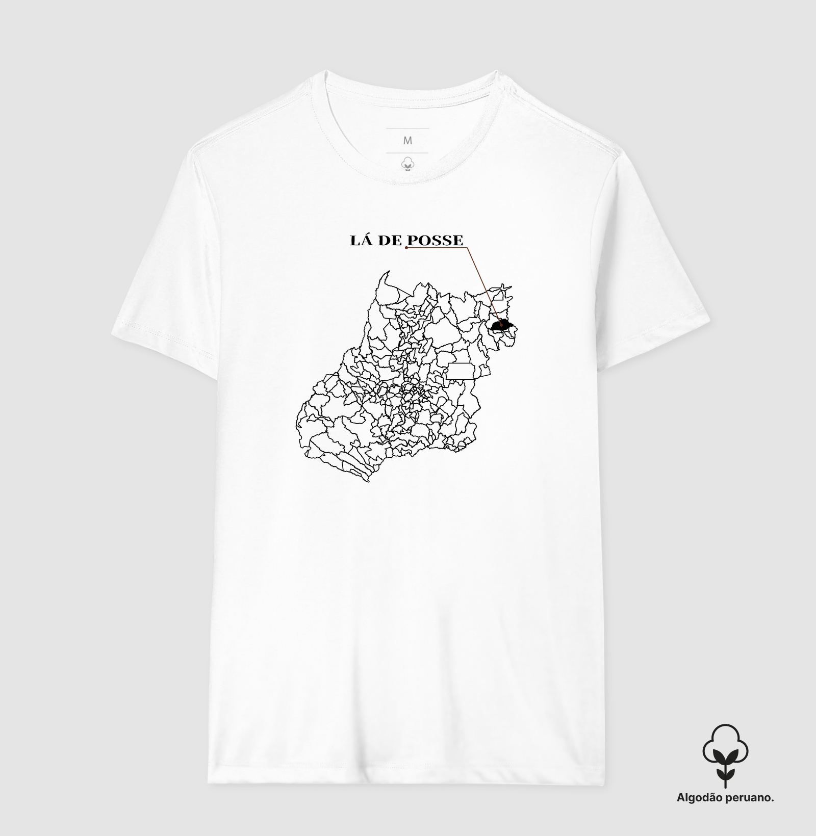 Posse | Origem GO - Imagem 5