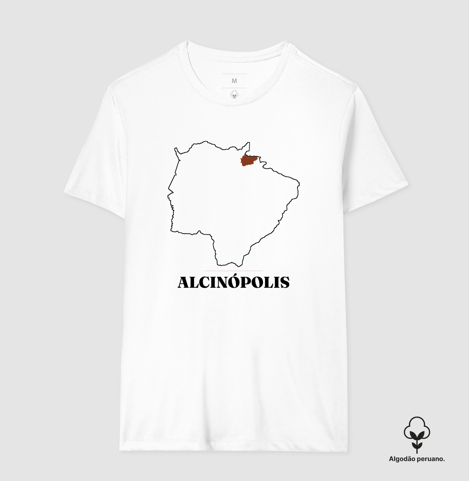Alcinópolis | Traço MS - Imagem 4