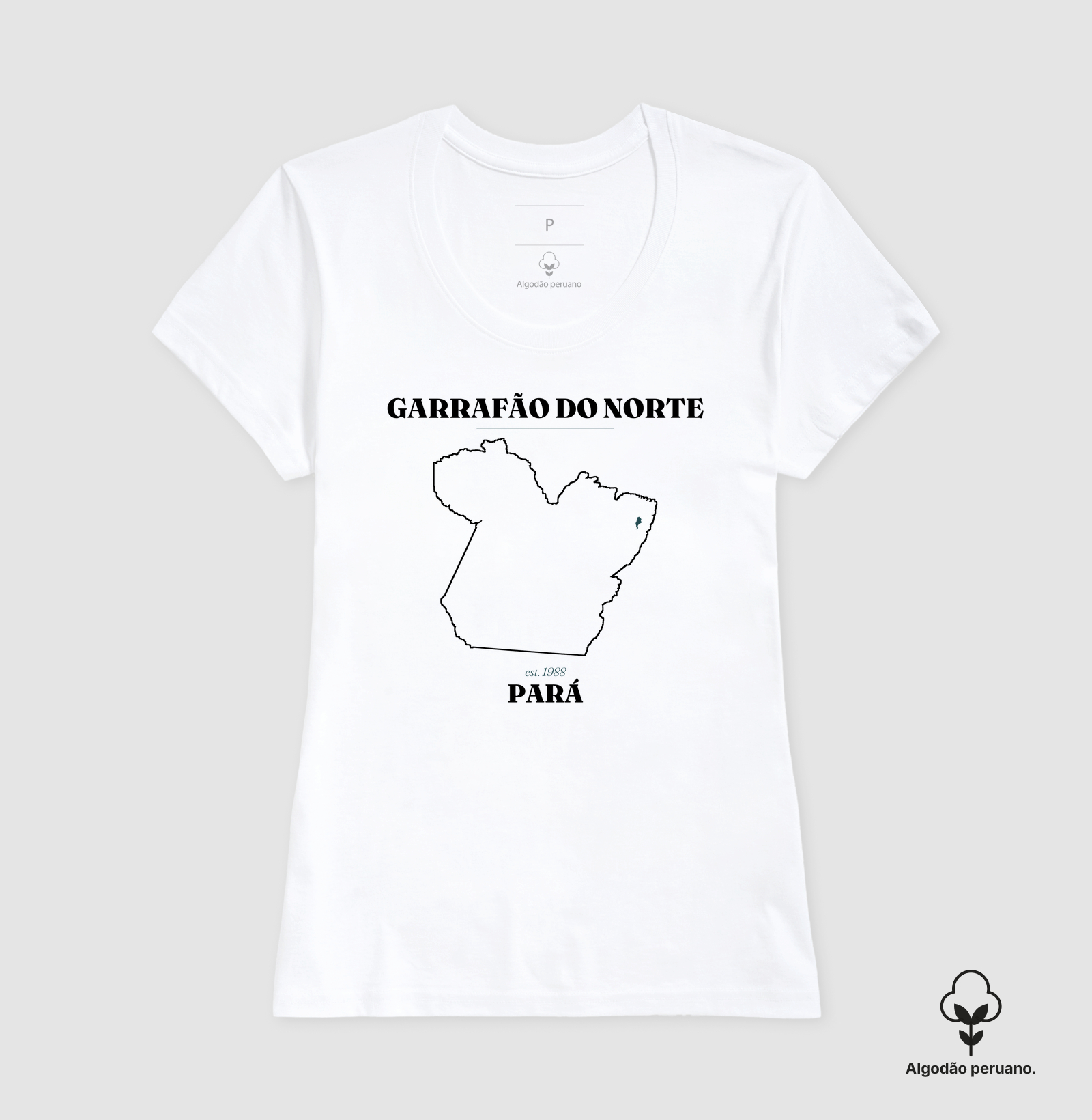 Garrafão do Norte | Legado PA - Imagem 4