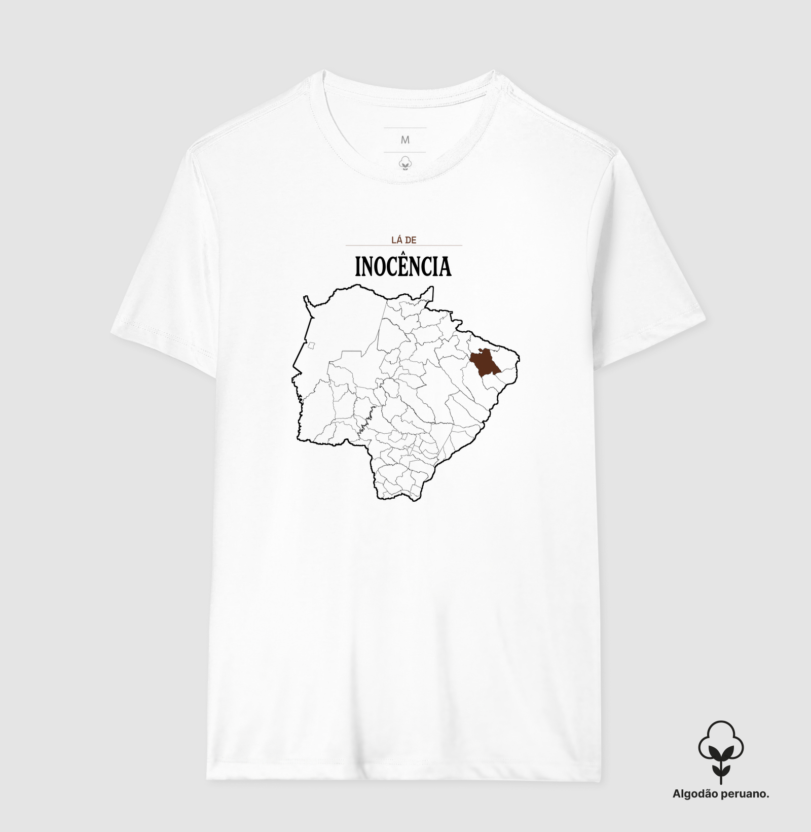 Inocência | Território MS - Imagem 9