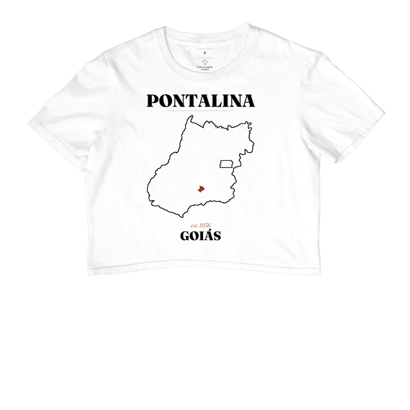 Pontalina | Legado GO - Imagem 3