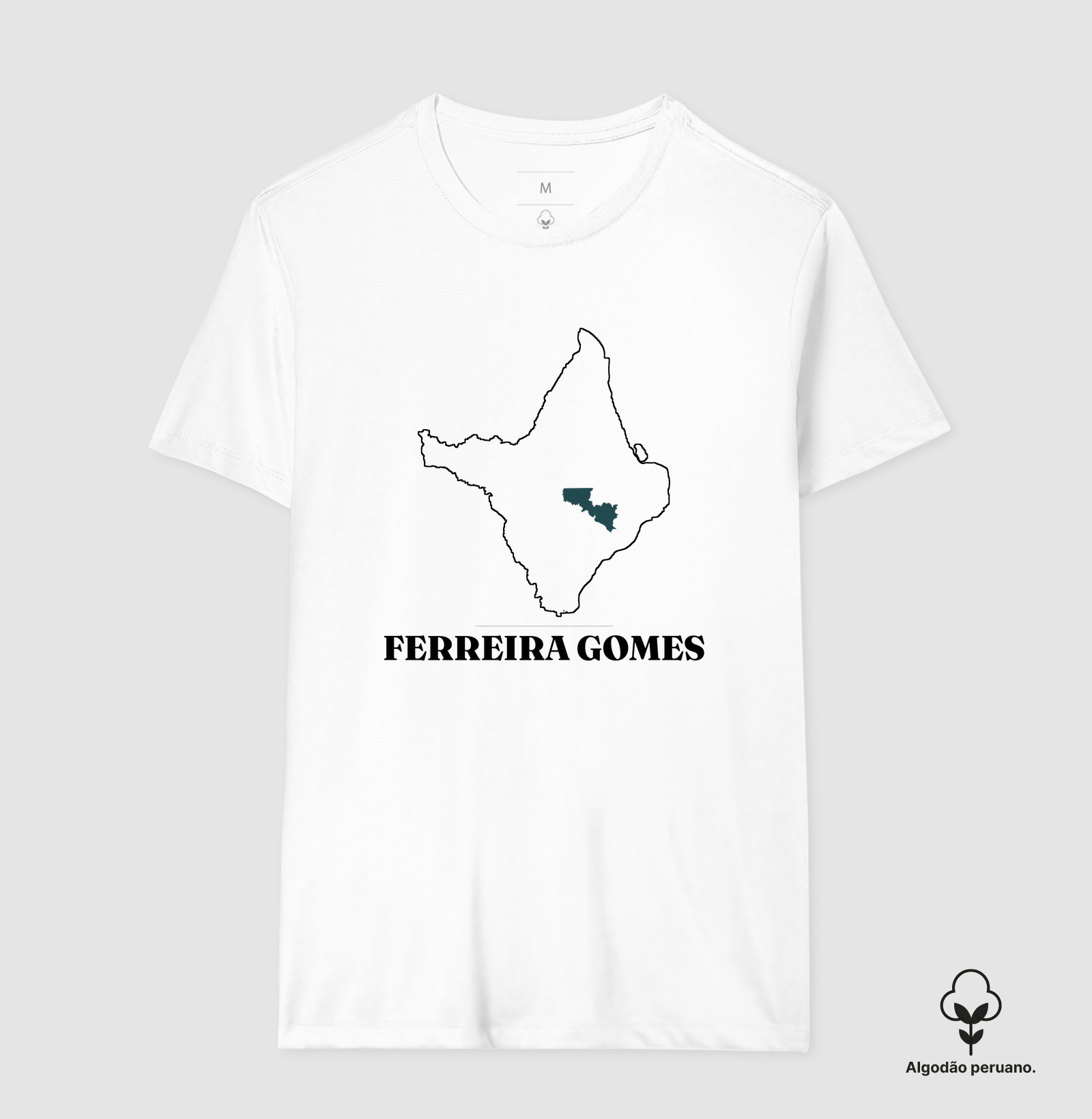 Ferreira Gomes | Traço AP - Imagem 6