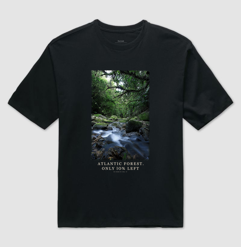 Atlantic Forest - Imagem 2