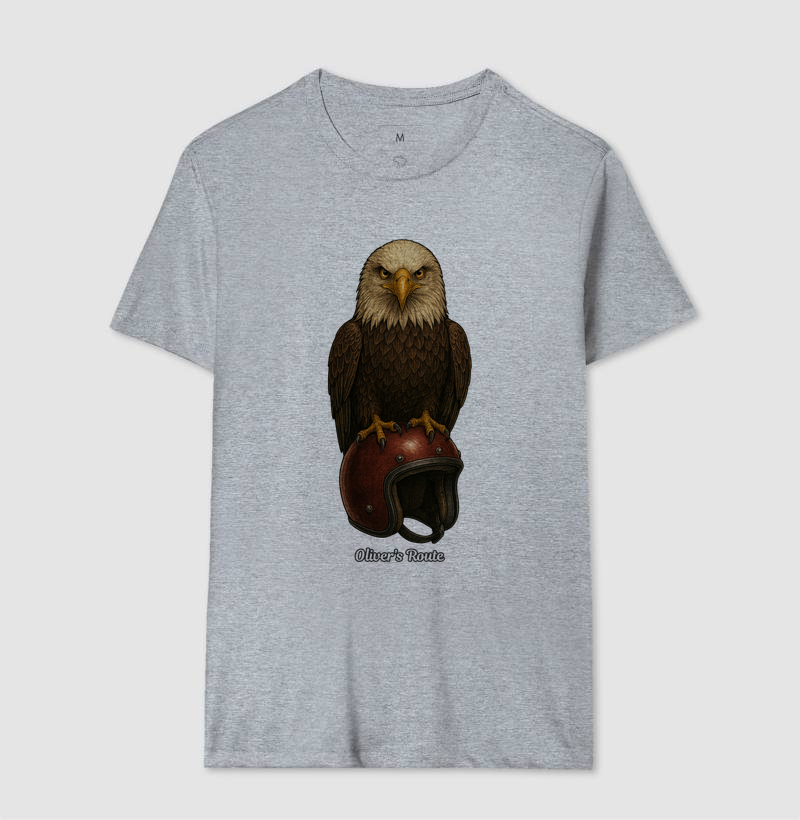 The Eagle and the Helmet - Imagem 8