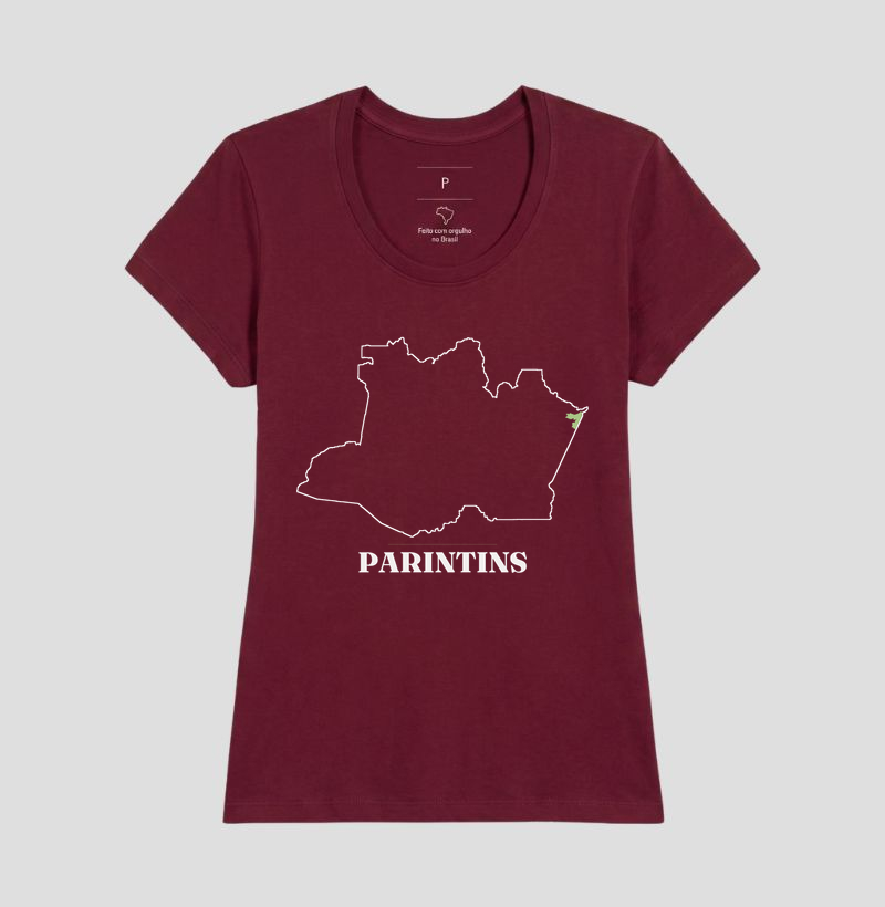 Parintins | Traço AM - Imagem 19
