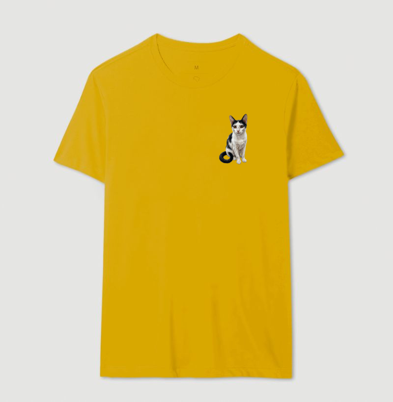 Camisa 13