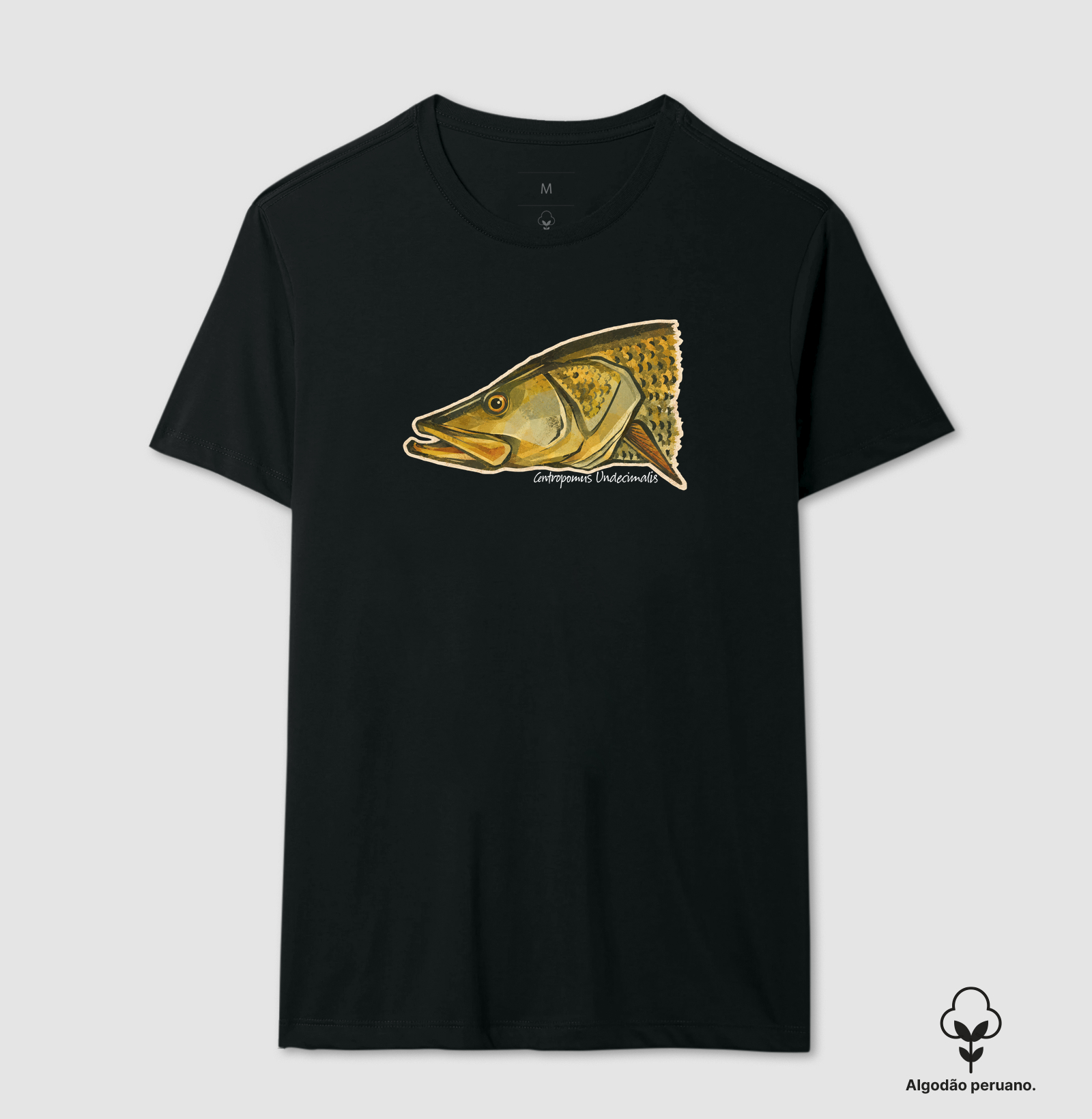 Robalo-Flecha - Imagem 5