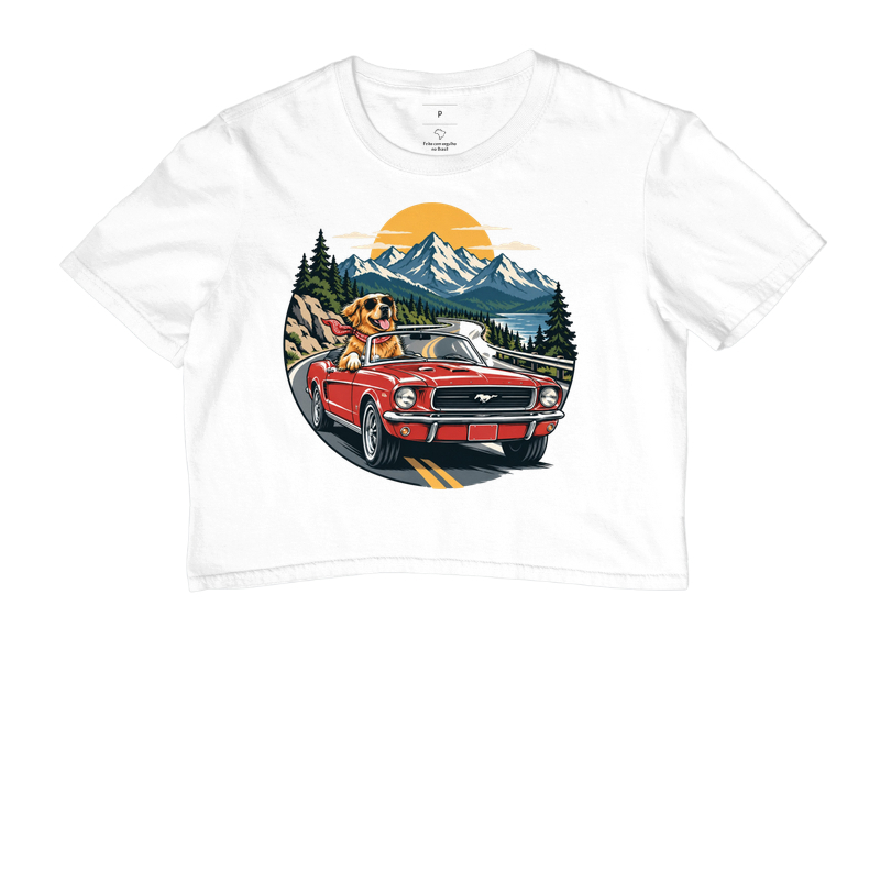 Road Trip - Imagem 3