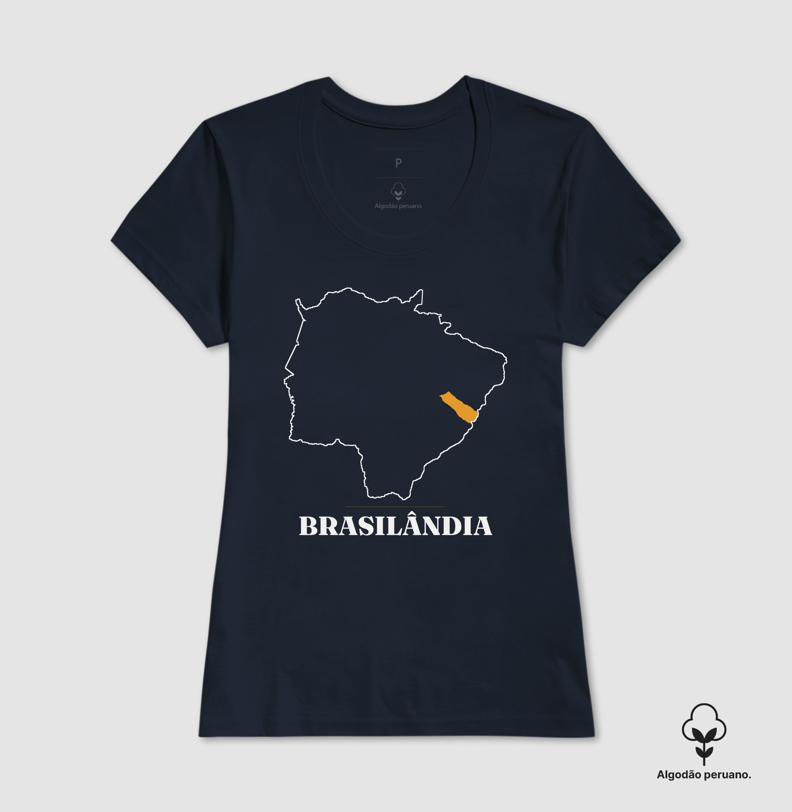 Brasilândia | Traço MS - Imagem 3