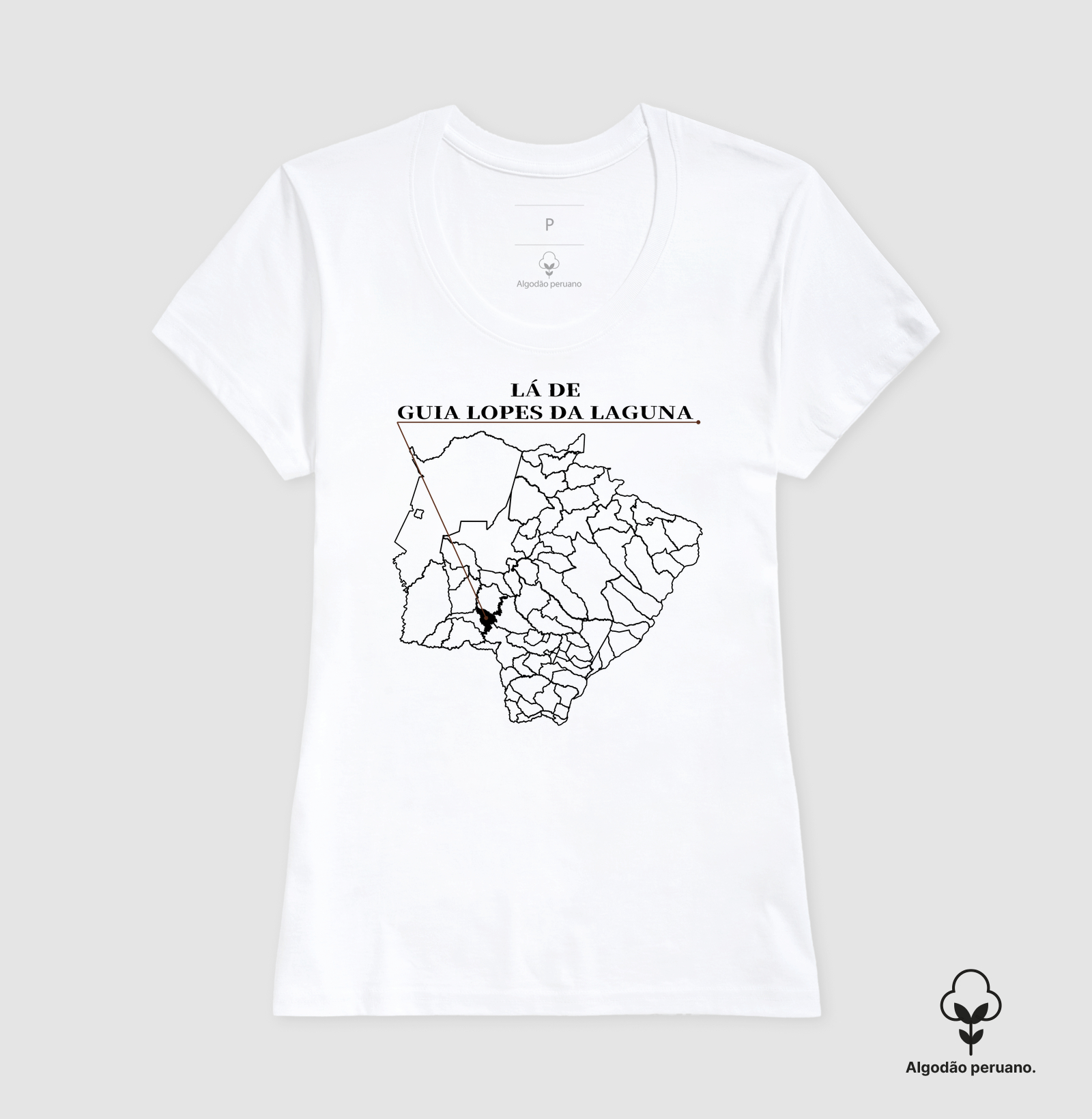 Guia Lopes da Laguna | Origem MS - Imagem 6