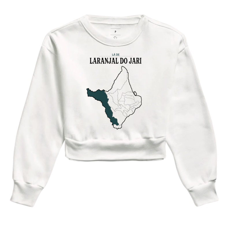 Laranjal do Jari | Território AP - Imagem 3