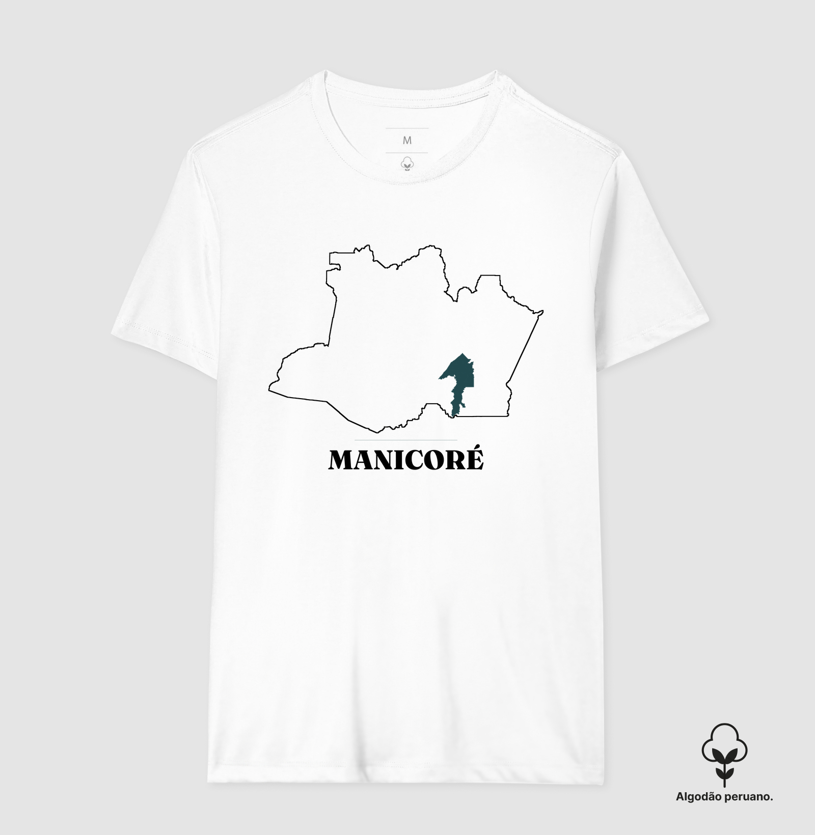Manicoré | Traço AM - Imagem 2