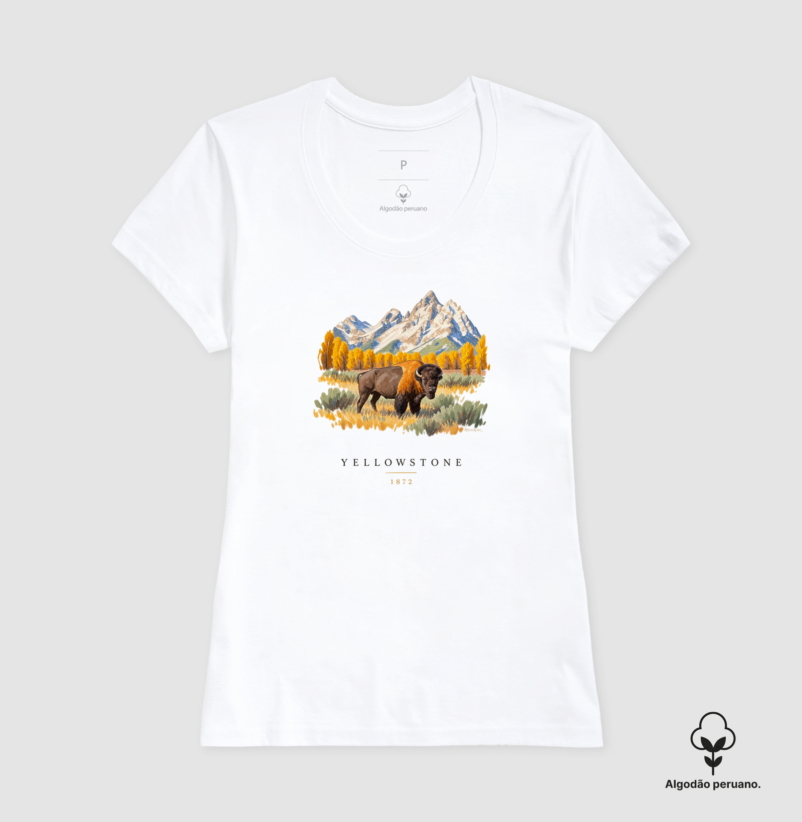 Bison - Yellowstone - Imagem 6