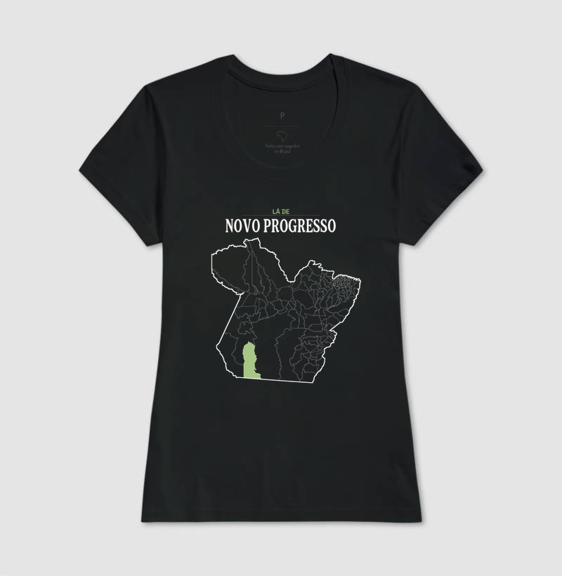 Novo Progresso | Território PA - Imagem 3