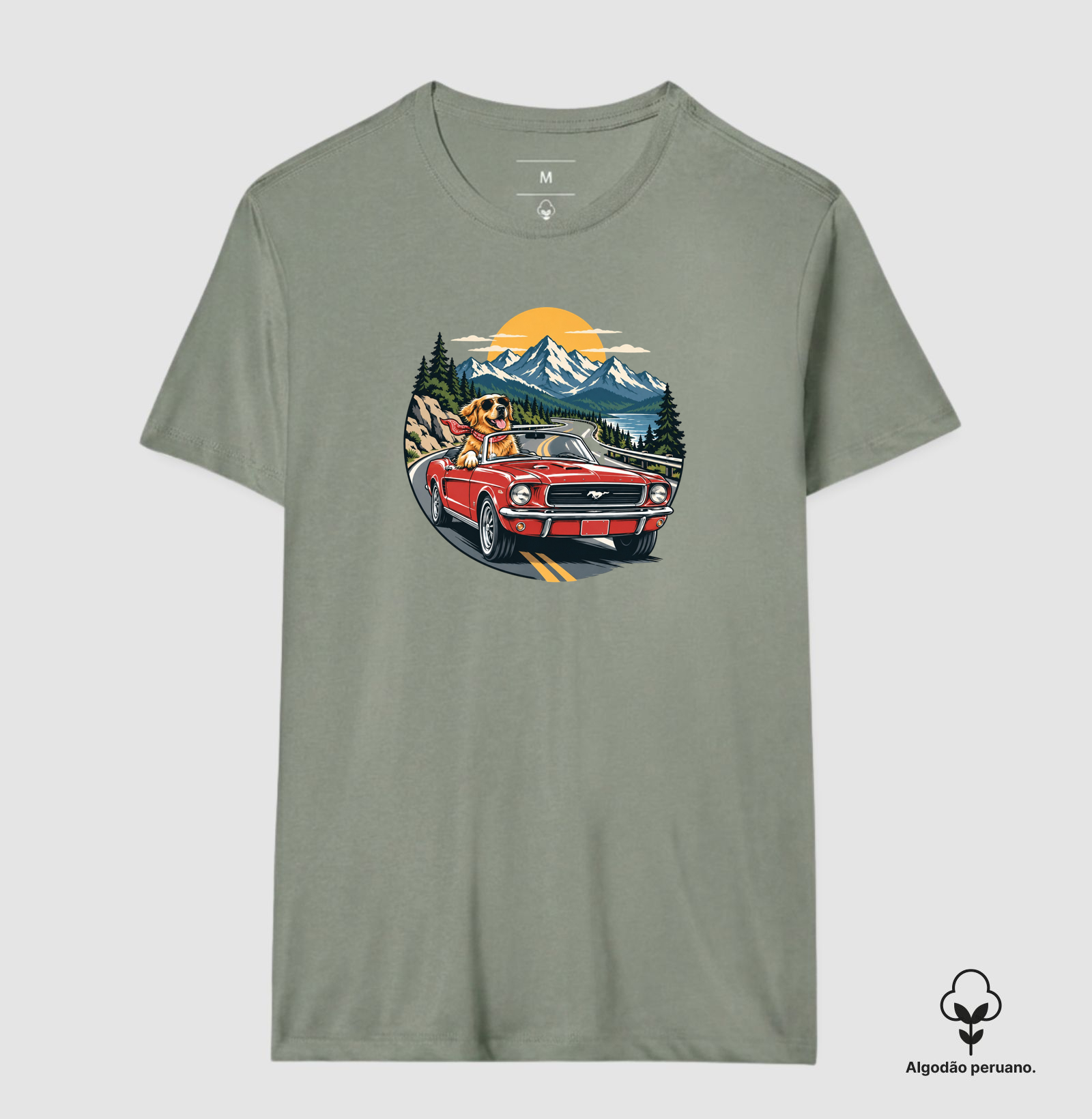 Road Trip - Imagem 9