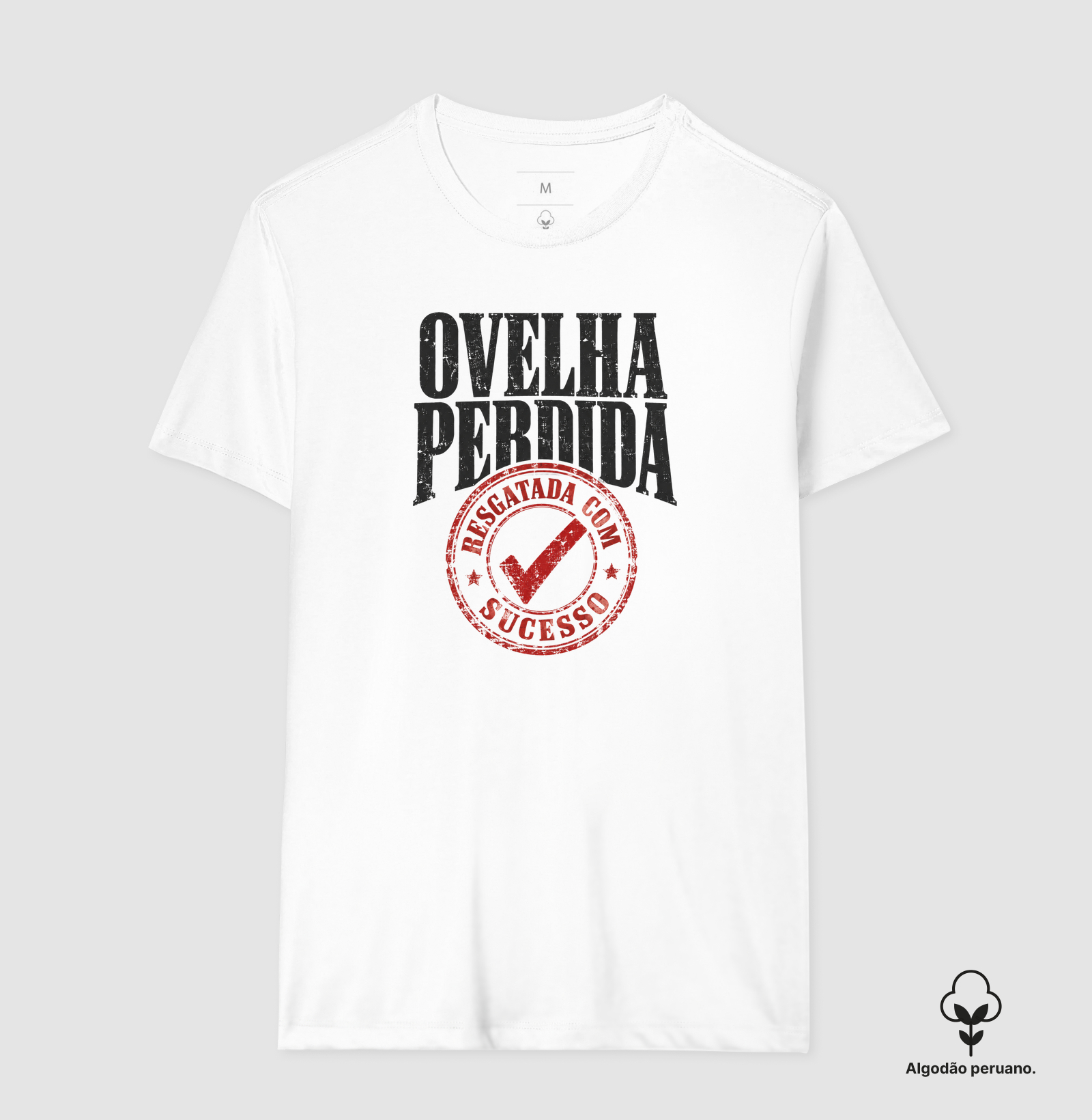 Ovelha Perdida Resgatada com Sucesso - Imagem 2
