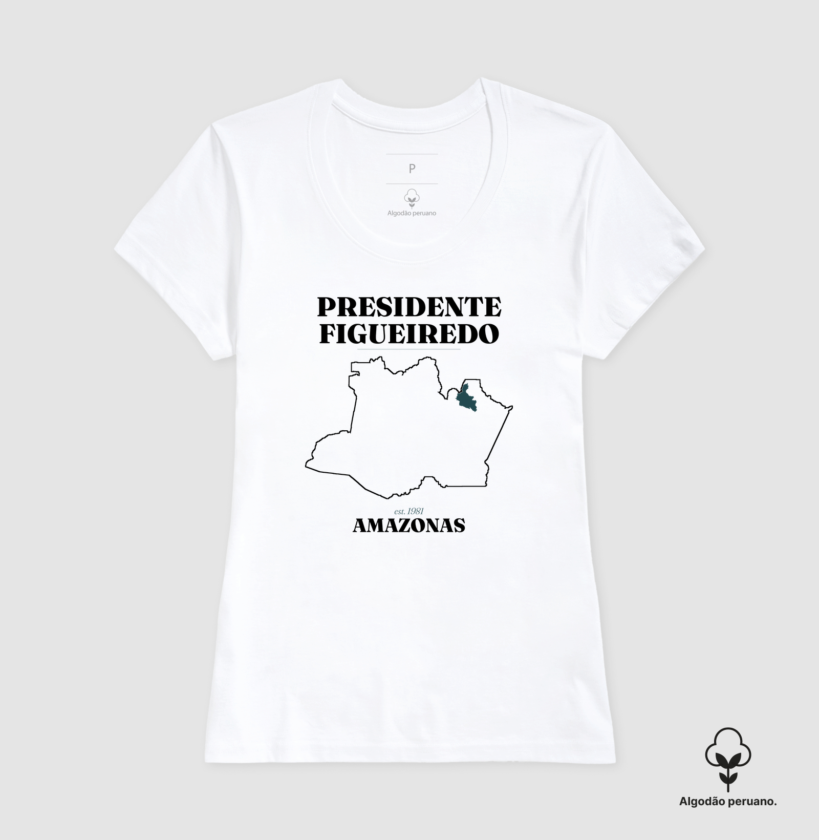 Presidente Figueiredo | Legado AM - Imagem 2