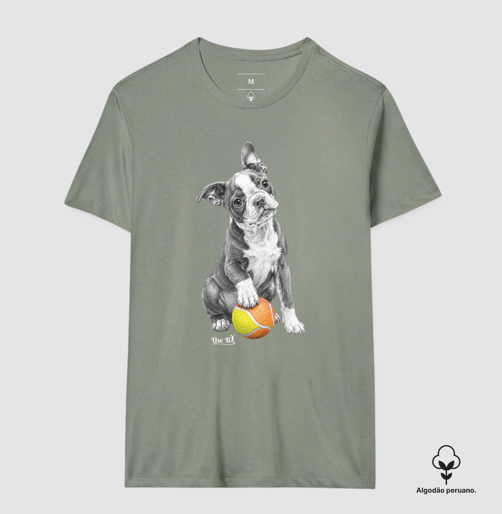 Boston Terrier do Beach - Imagem 6