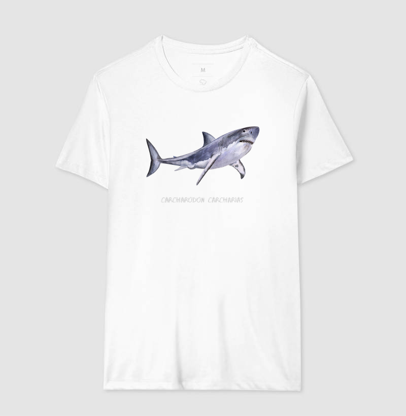 Carcharodon carcharias - Imagem 6