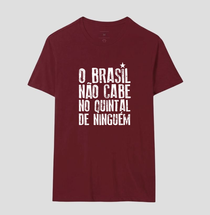 O Brasil não cabe no quintal de ninguém - Imagem 14