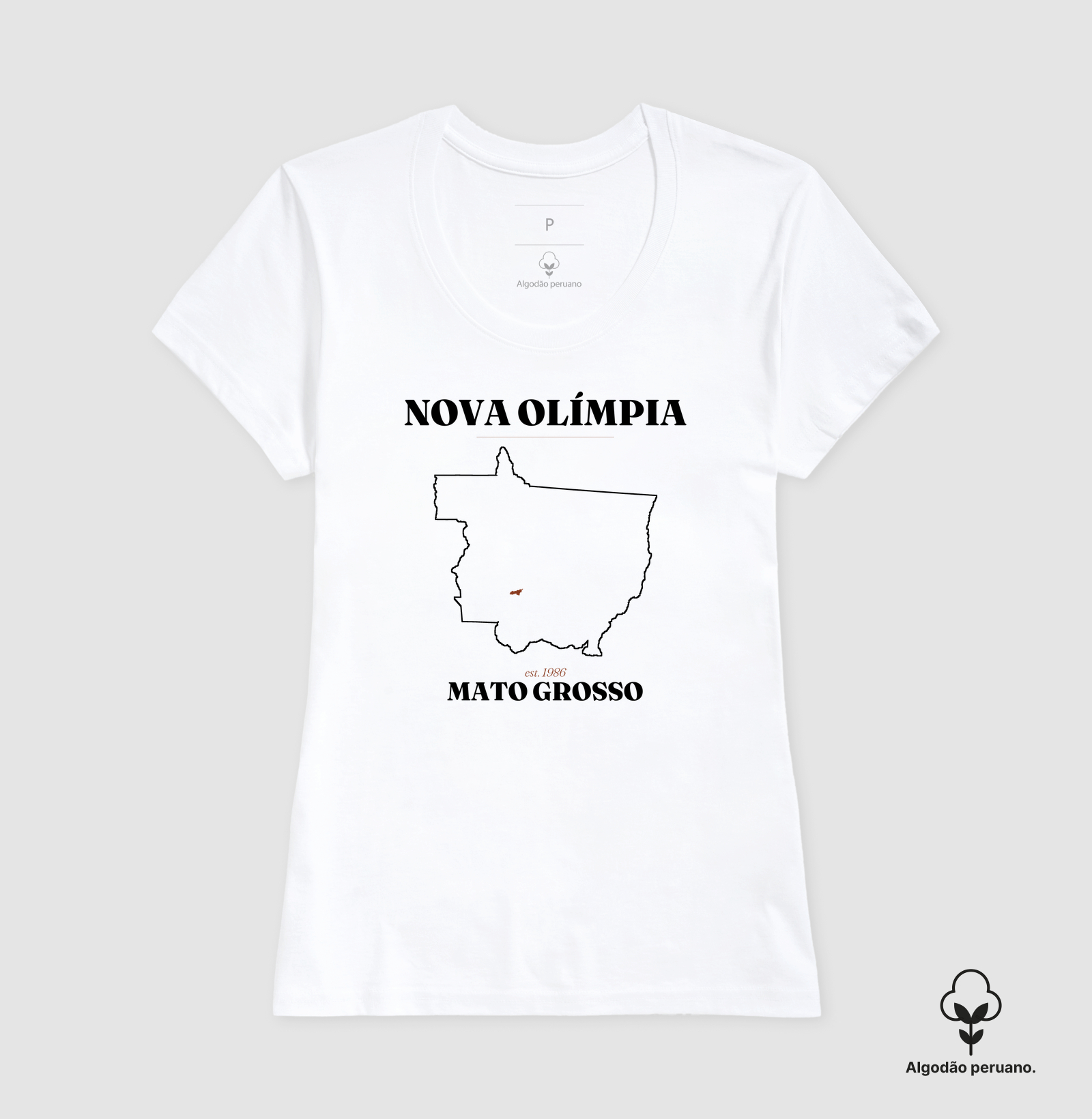 Nova Olímpia | Legado MT - Imagem 8