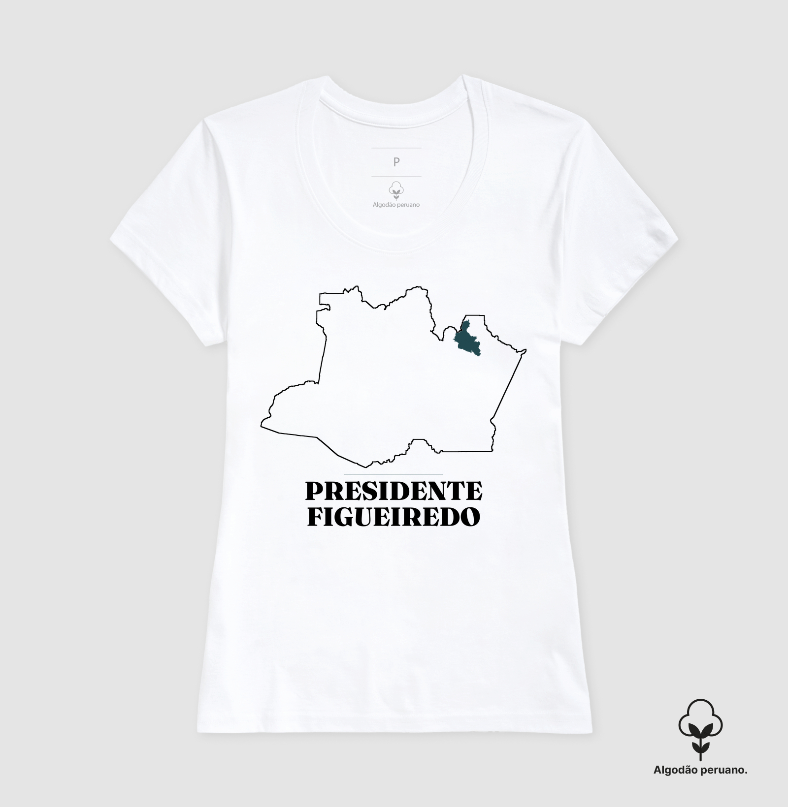 Presidente Figueiredo | Traço AM - Imagem 6