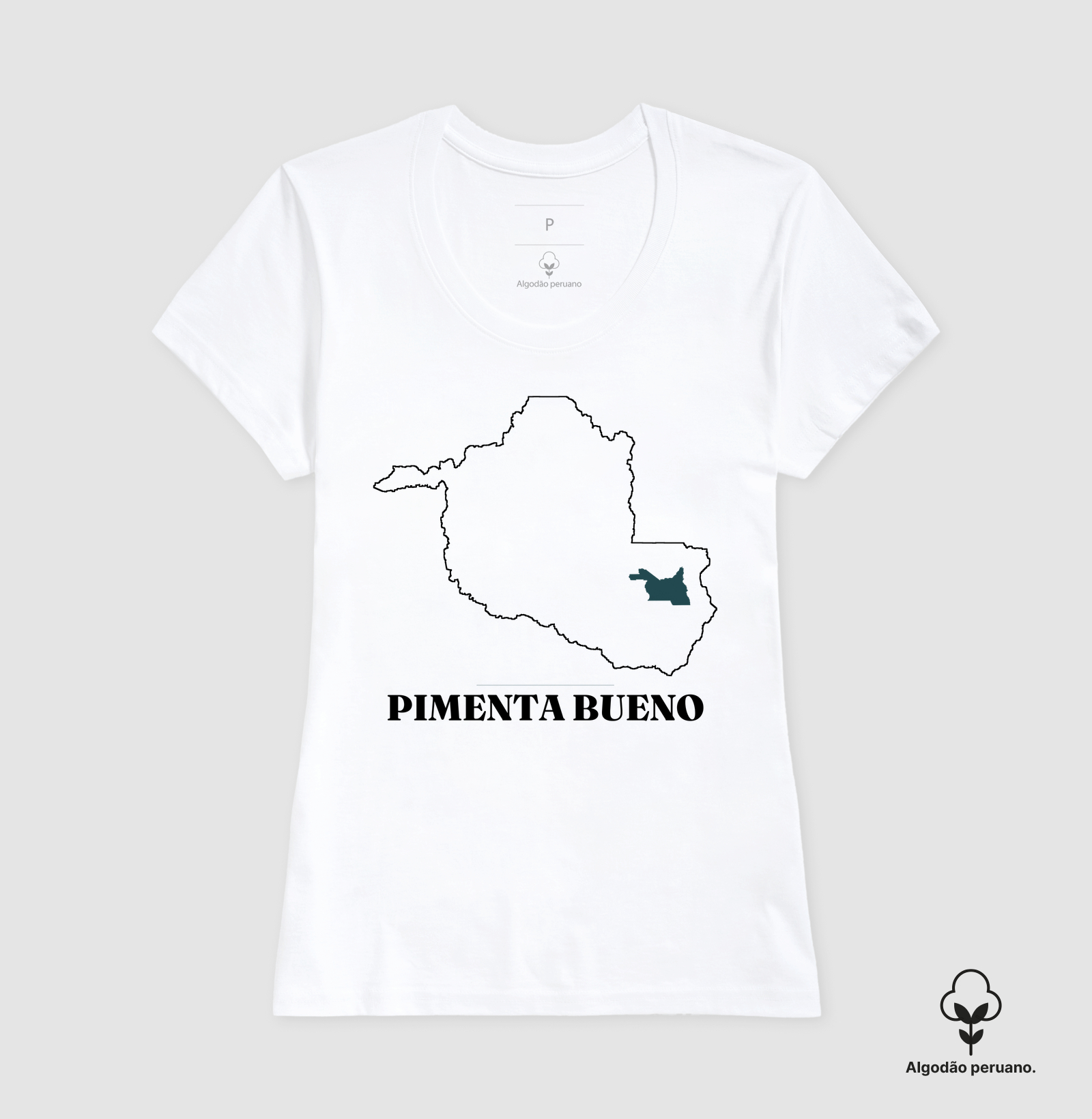 Pimenta Bueno | Traço RO - Imagem 5