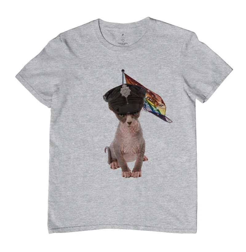 Pride Cat - Imagem 6