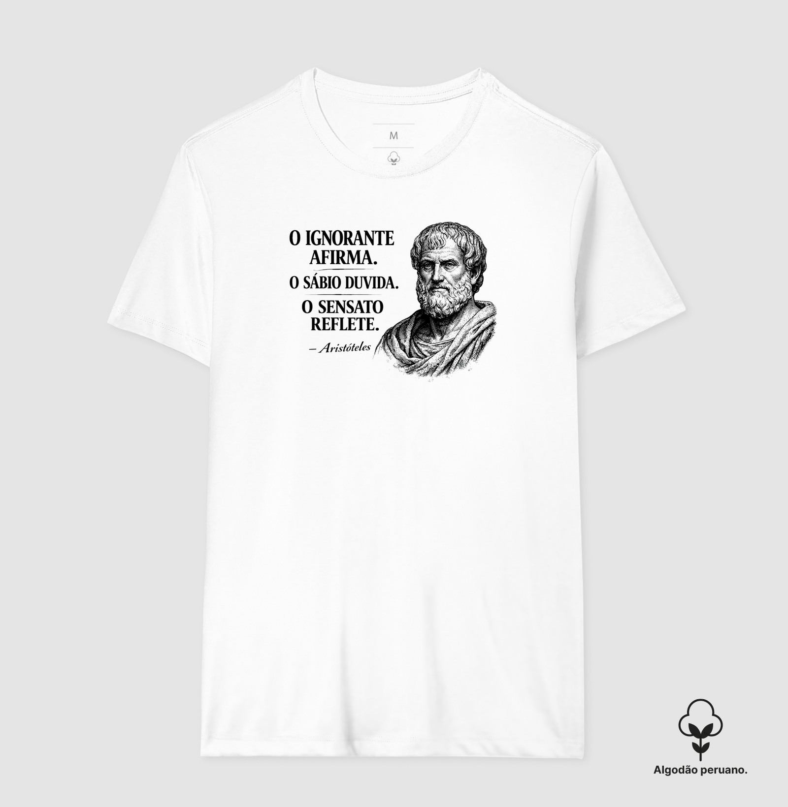 Filosofia de Aristóteles - Imagem 2