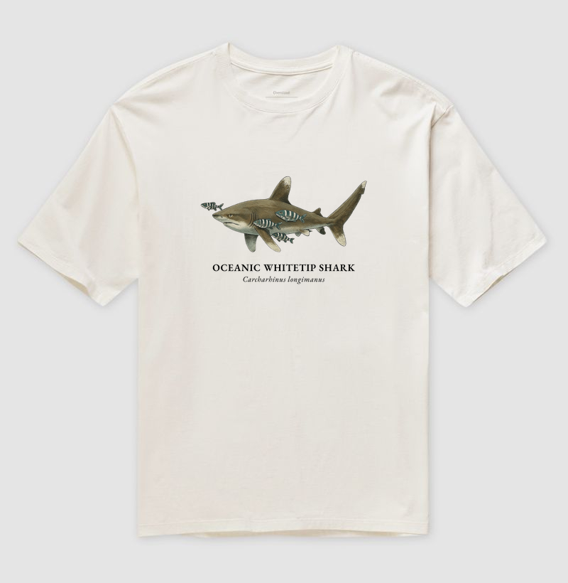 Oceanic Whitetip Shark - Imagem 6