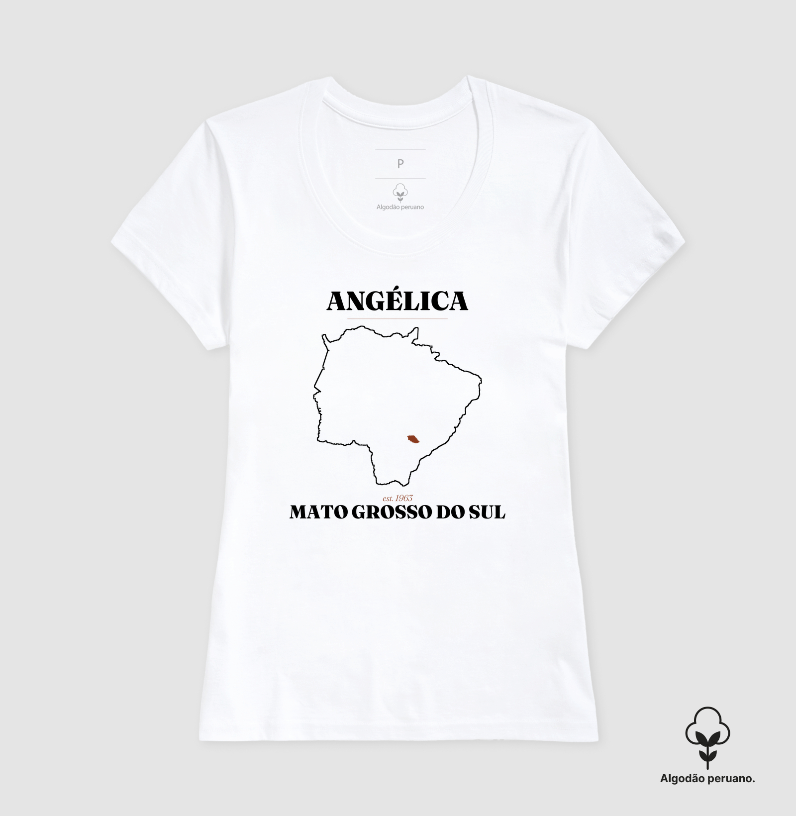 Angélica | Legado MS - Imagem 5