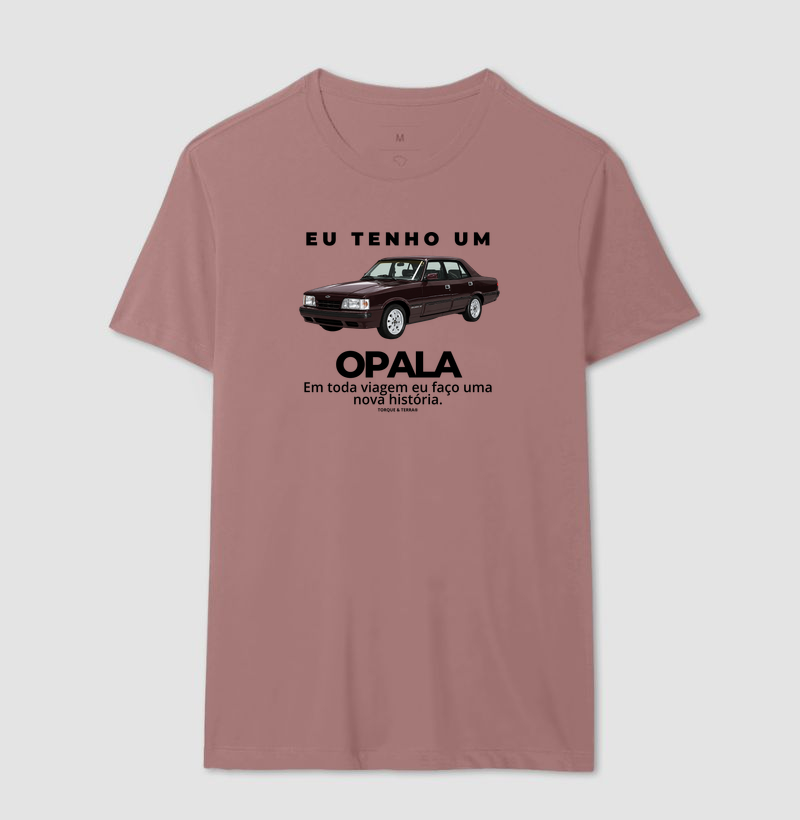 Eu tenho um Opala Diplomata vinho - Imagem 16