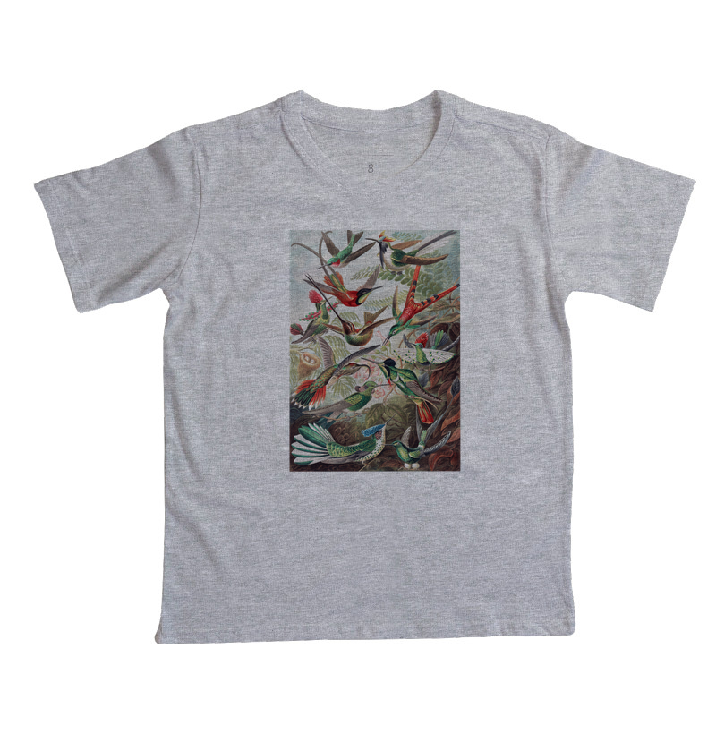 Kolibris - Imagem 7