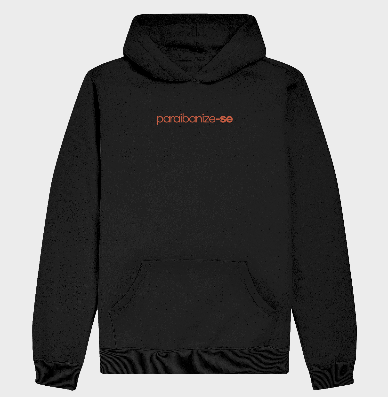 Paraibanize-se - Imagem 2