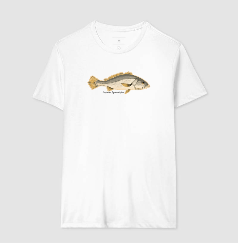 🎣 Corvina 🐟 - Imagem 4