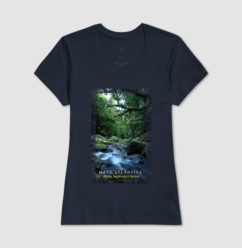Mata Atlântica - Imagem 7