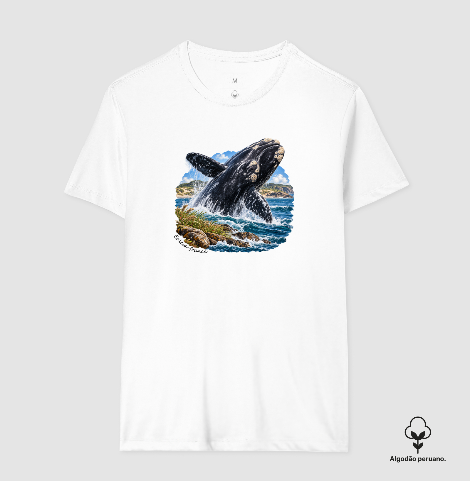 Baleia-franca - Coleção Fauna Brasileira - Imagem 2