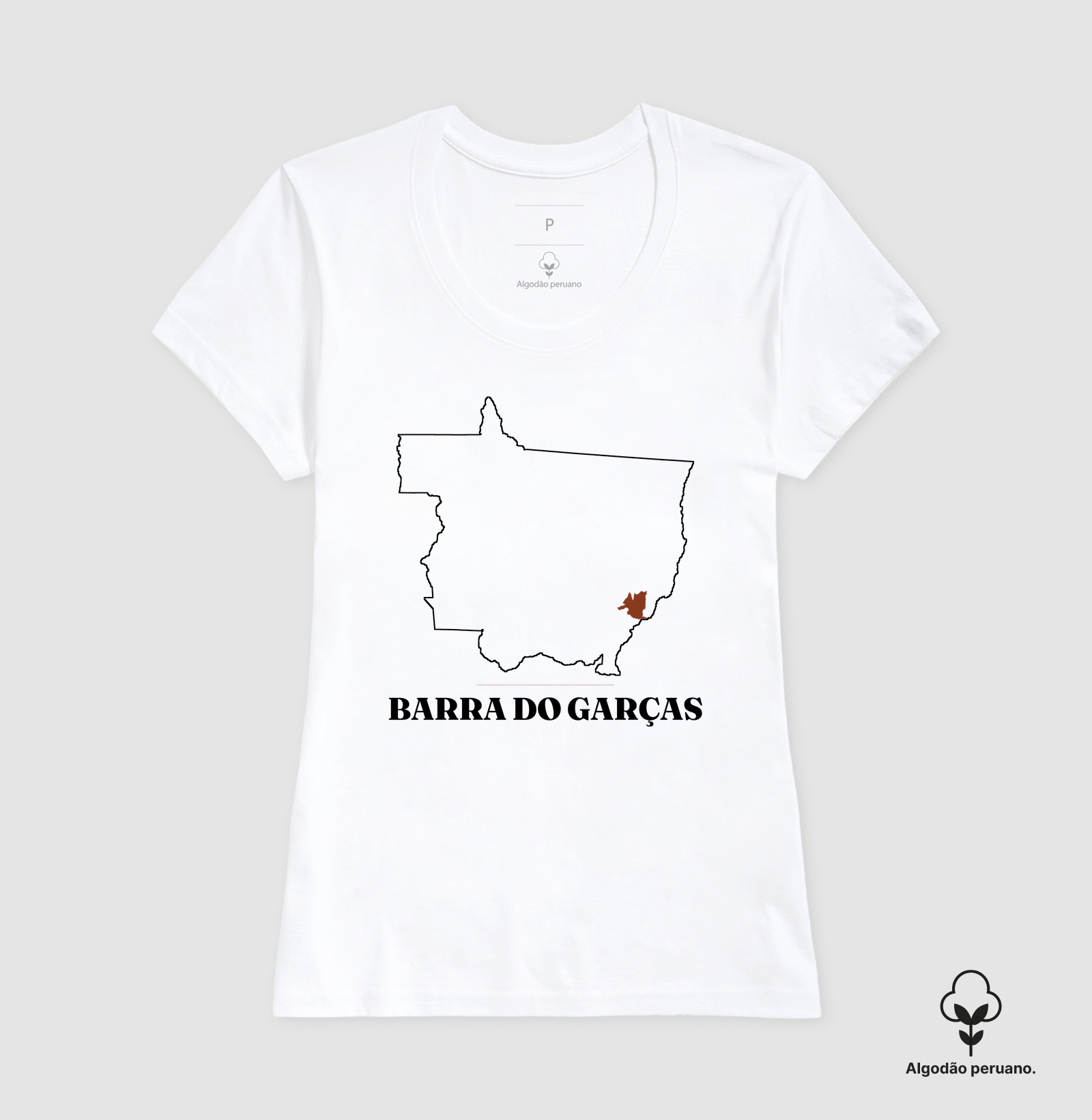 Barra do Garças | Traço MT - Imagem 5