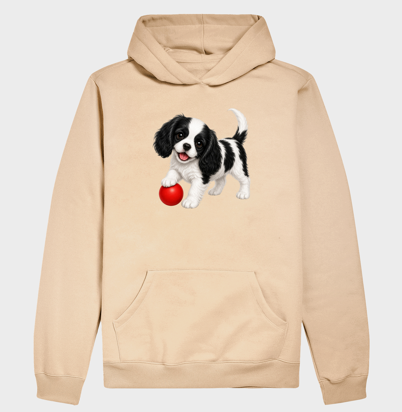 Cavalier King - Desenho Animado - Imagem 5