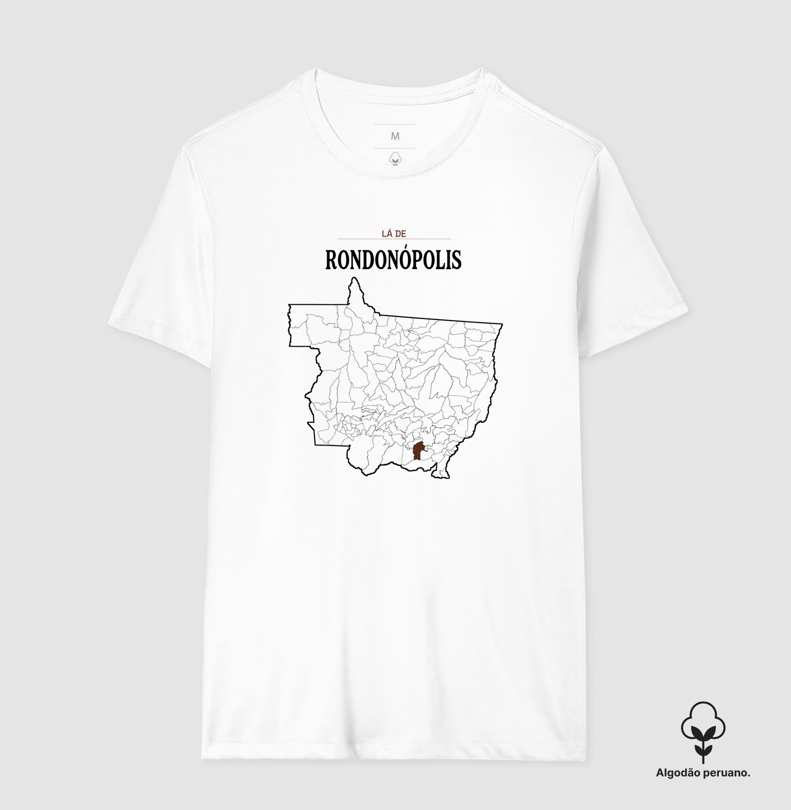 Rondonópolis | Território MT - Imagem 2