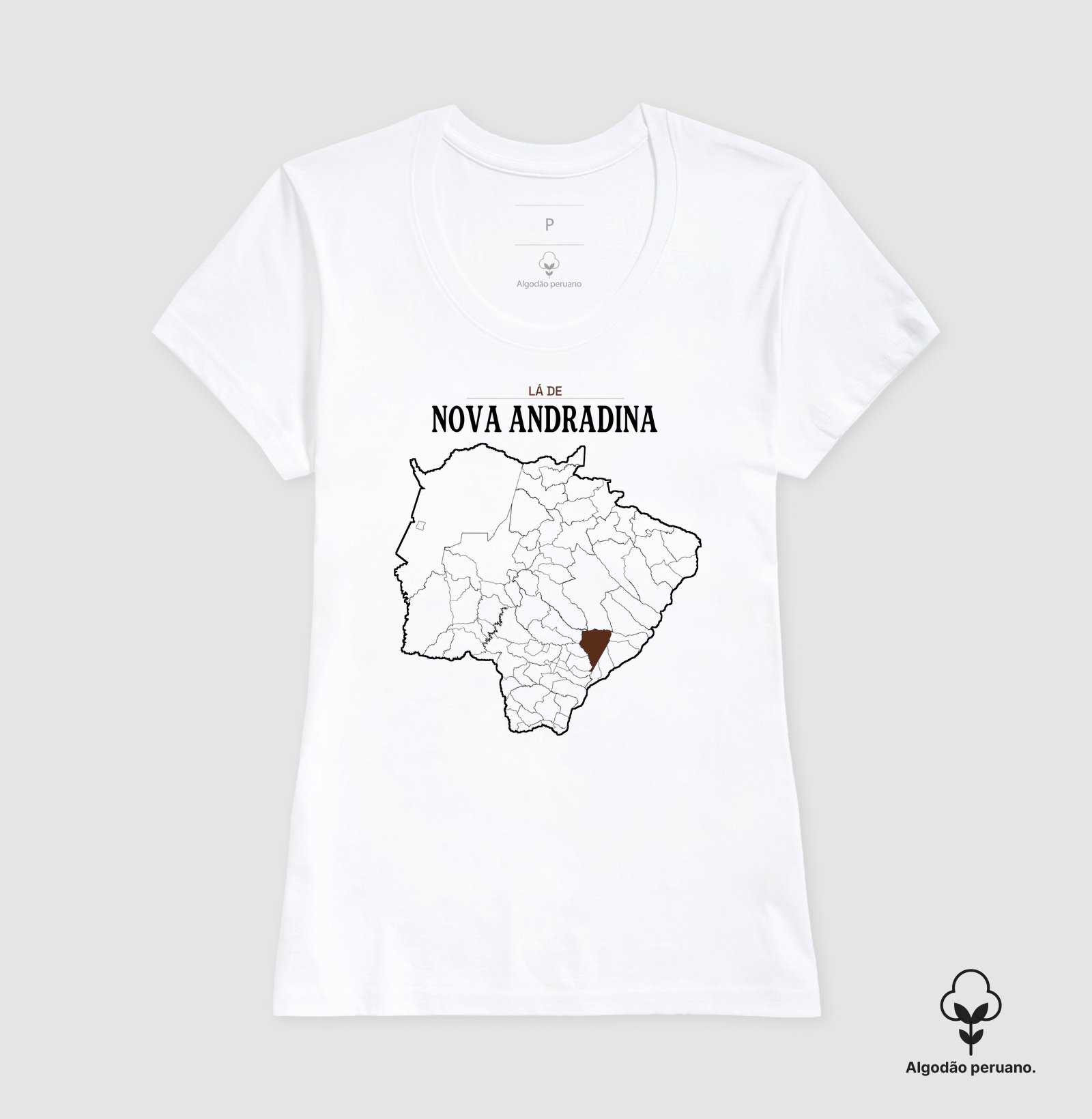 Nova Andradina | Território MS - Imagem 3