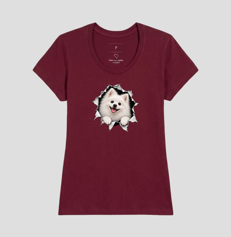 Pomerânia (Spitz Alemão) Saindo da Camisa - Imagem 19