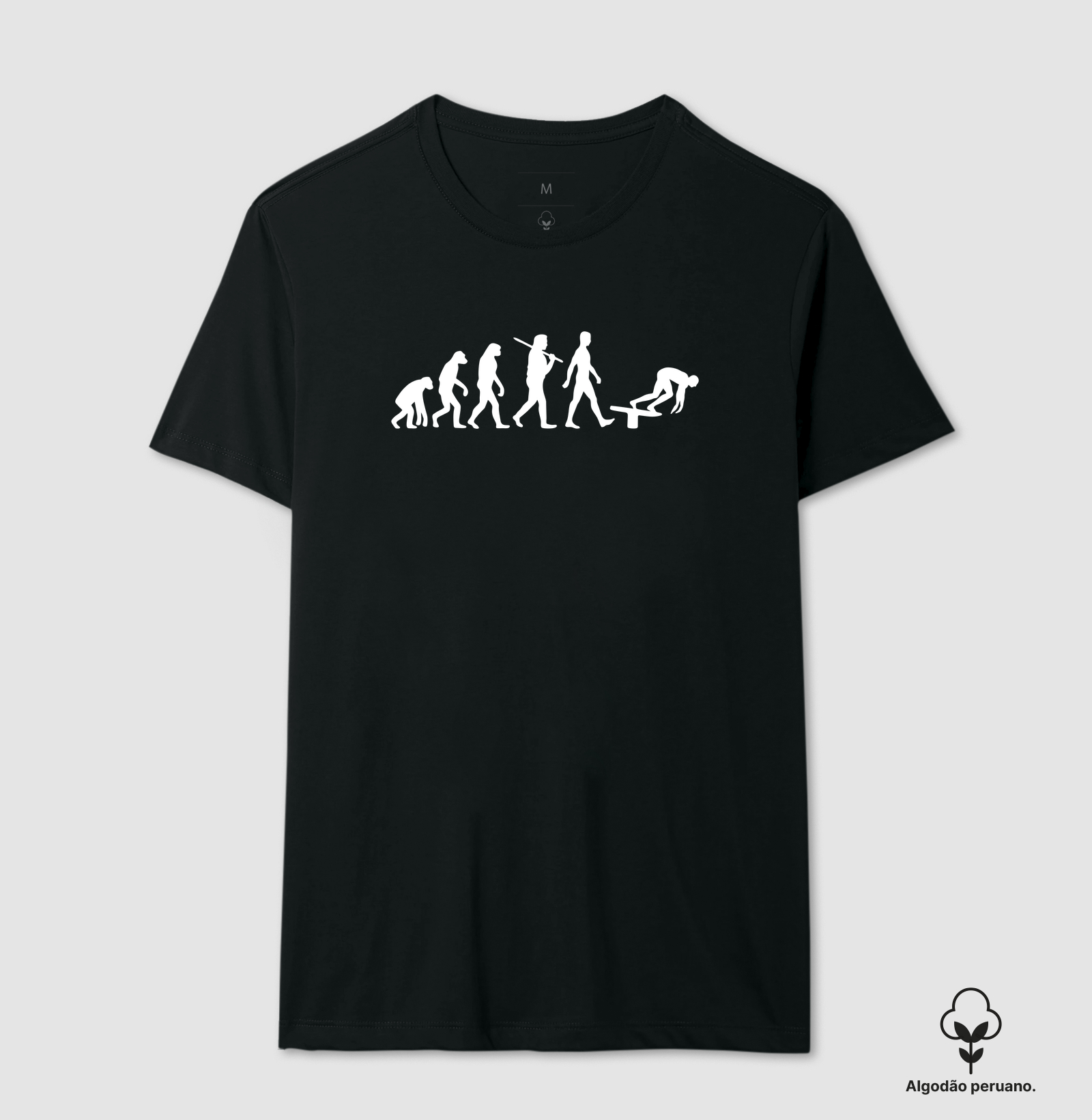 Evolução - Imagem 4