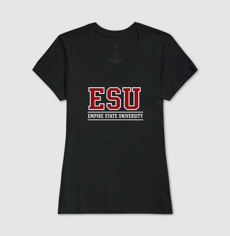 Empire State University - Imagem 6