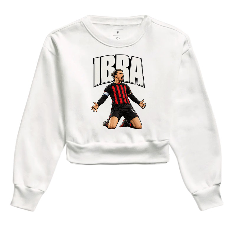 IBRA - Imagem 3